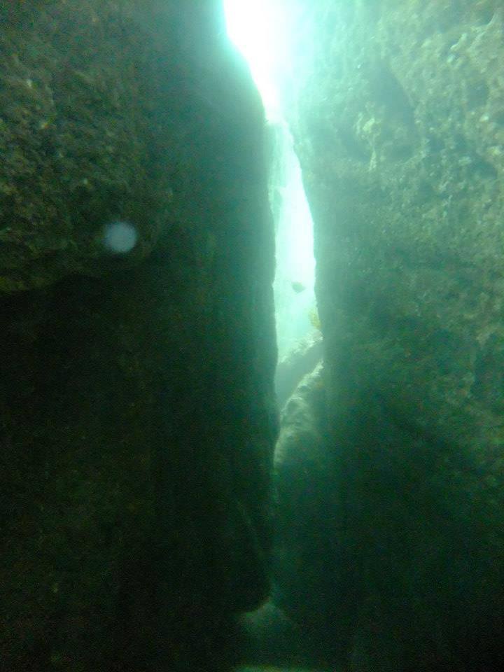 Watcombe Caves Swim Through Sept 2019